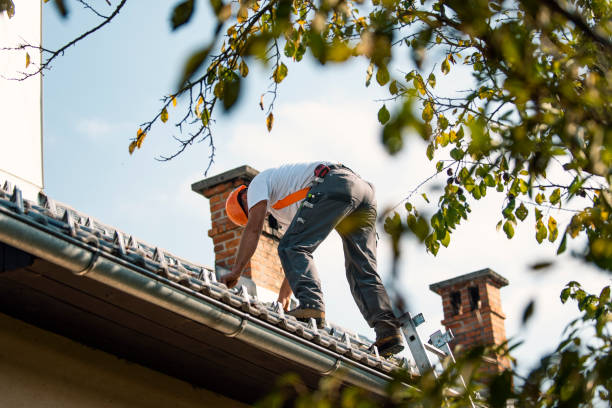 Best New Roof Installation  in Columbia Falls, MT