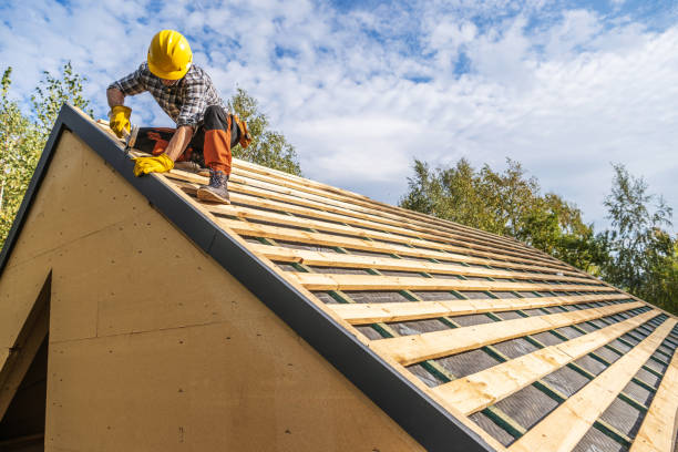 Best Emergency Roof Repair  in Columbia Falls, MT