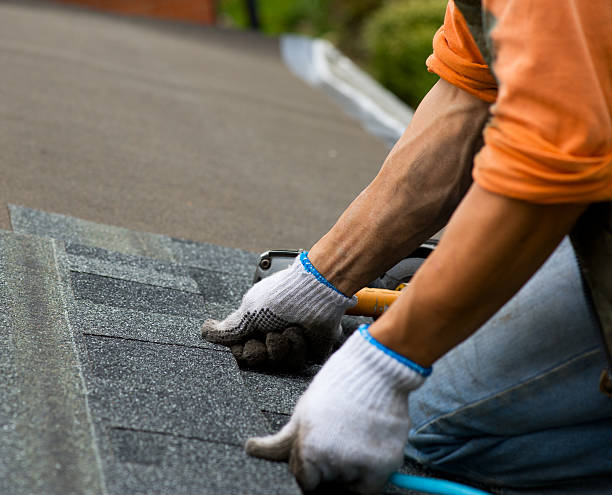 Best Gutter Installation and Roofing  in Columbia Falls, MT
