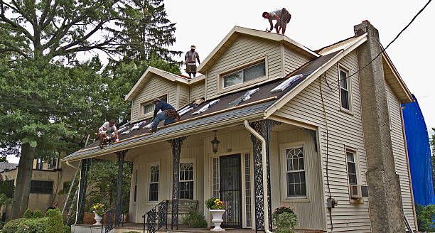 Best Sealant for Roof  in Columbia Falls, MT