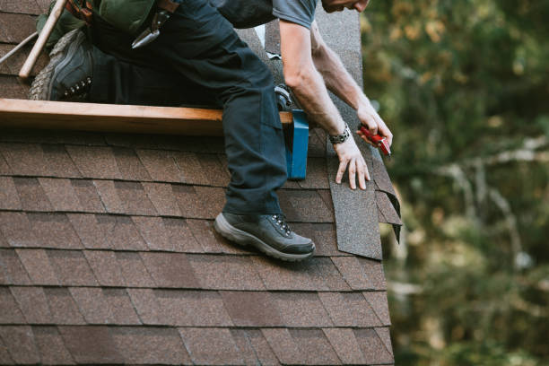 Best Roof Gutter Cleaning  in Columbia Falls, MT